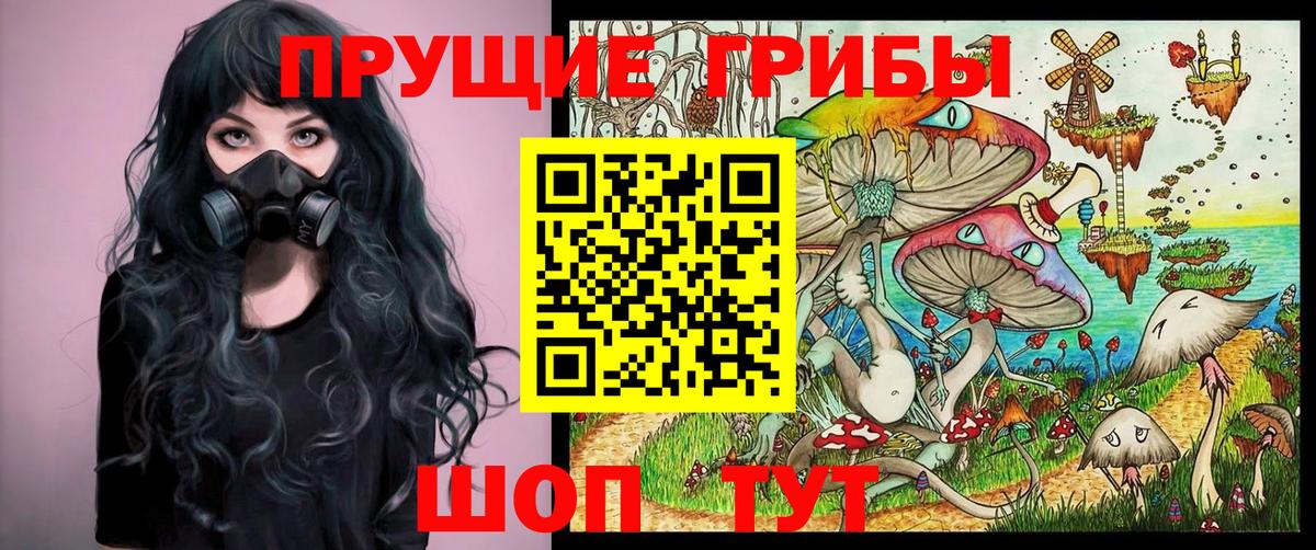 Псилоцибиновые грибы MAGIC MUSHROOMS  Вход с VPN  закладка  Новокуйбышевск  Галлюциногенные грибы GOLDEN TEACHER 