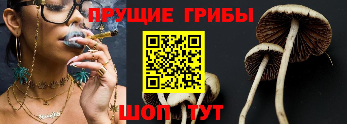 Галлюциногенные грибы Magic Shrooms Новокуйбышевск